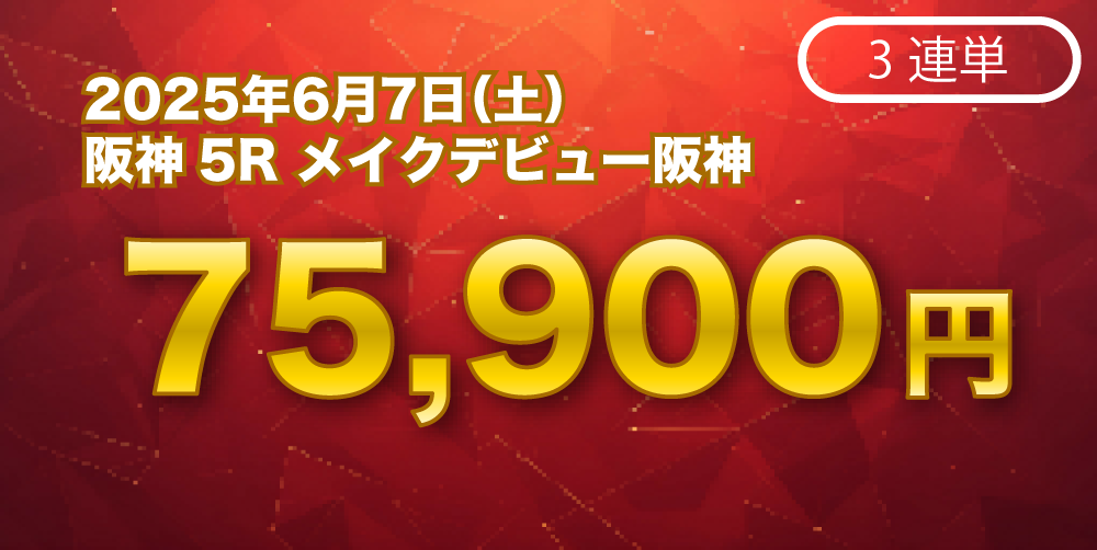 実績3