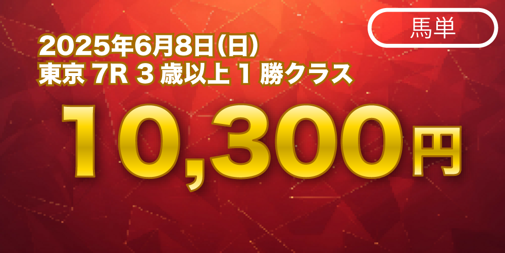 実績2